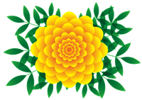 マリーゴールド